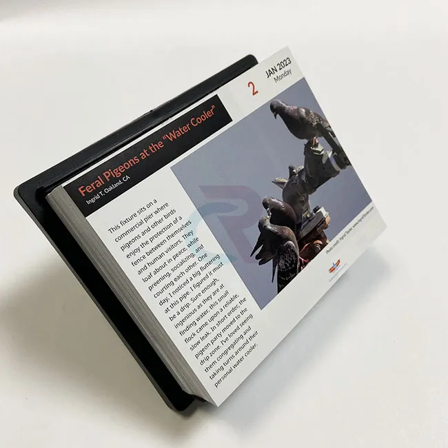 Làm thế nào các thiết kế tùy chỉnh có thể được kết hợp vào lịch xé từng trang một ngày?